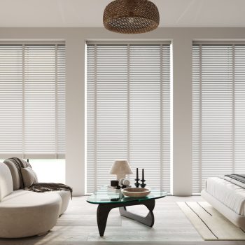VENETIAN BLINDS 2